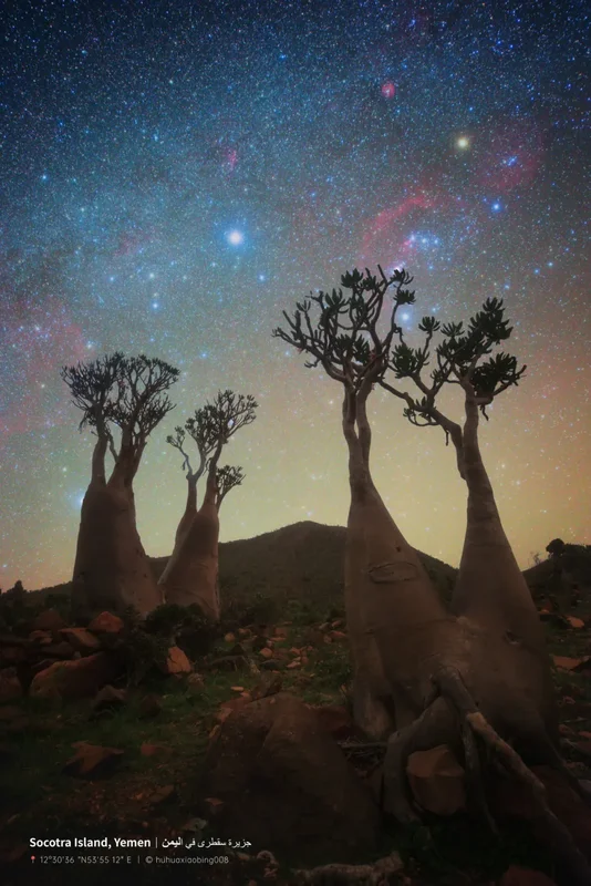 异域星空